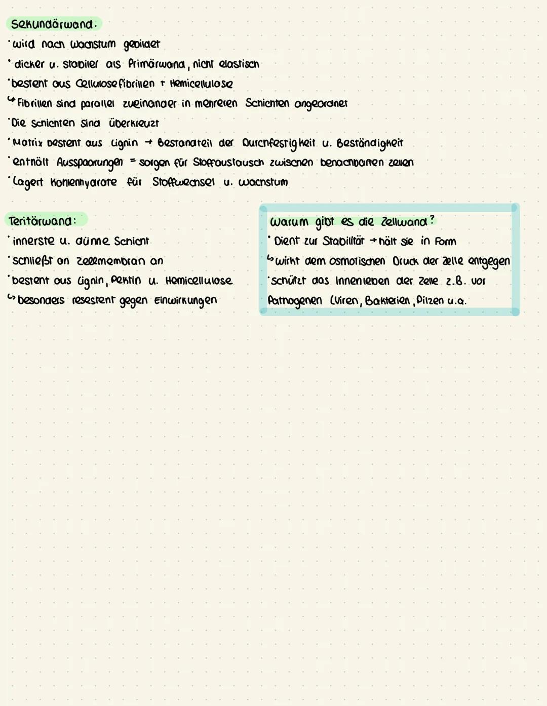 Biologie - Lemzettel
Organellen → feinstruktur einer tierischen oder pflanzlichen Zelle, abgegrenzte Funktionseinheit
Zelle kleinste Einheit