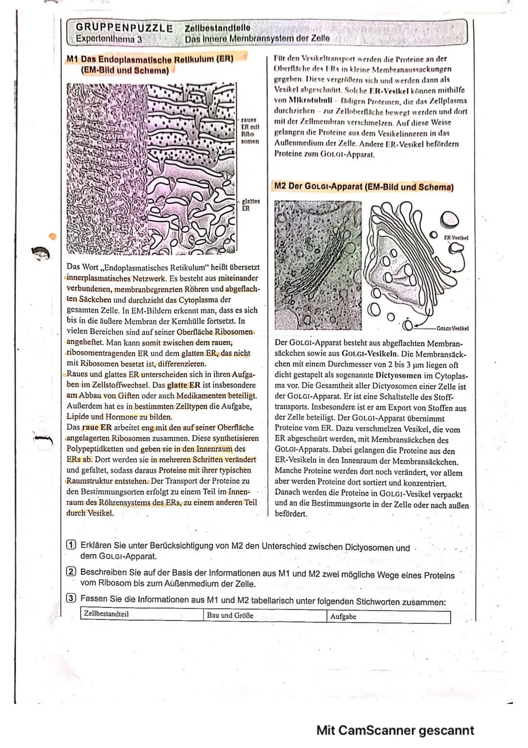 # GRUPPENPUZZLE
## Zellbestandteile
## Expertenthema 3
### Das Innere Membransystem der Zelle
## M1 Das Endoplasmatische Retikulum (ER) (EM