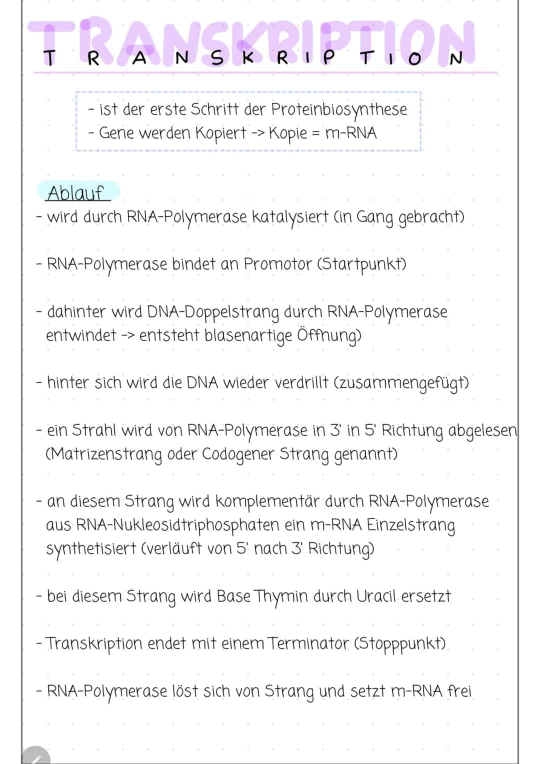 # TRANSKRIPTION BEI PROKARYOTEN
## 3 Schritte
### Initiation
- RNA-Polymerase bindet an DNA am Promotor: 5'- TATAAT-3'
- Diese Sequenz von