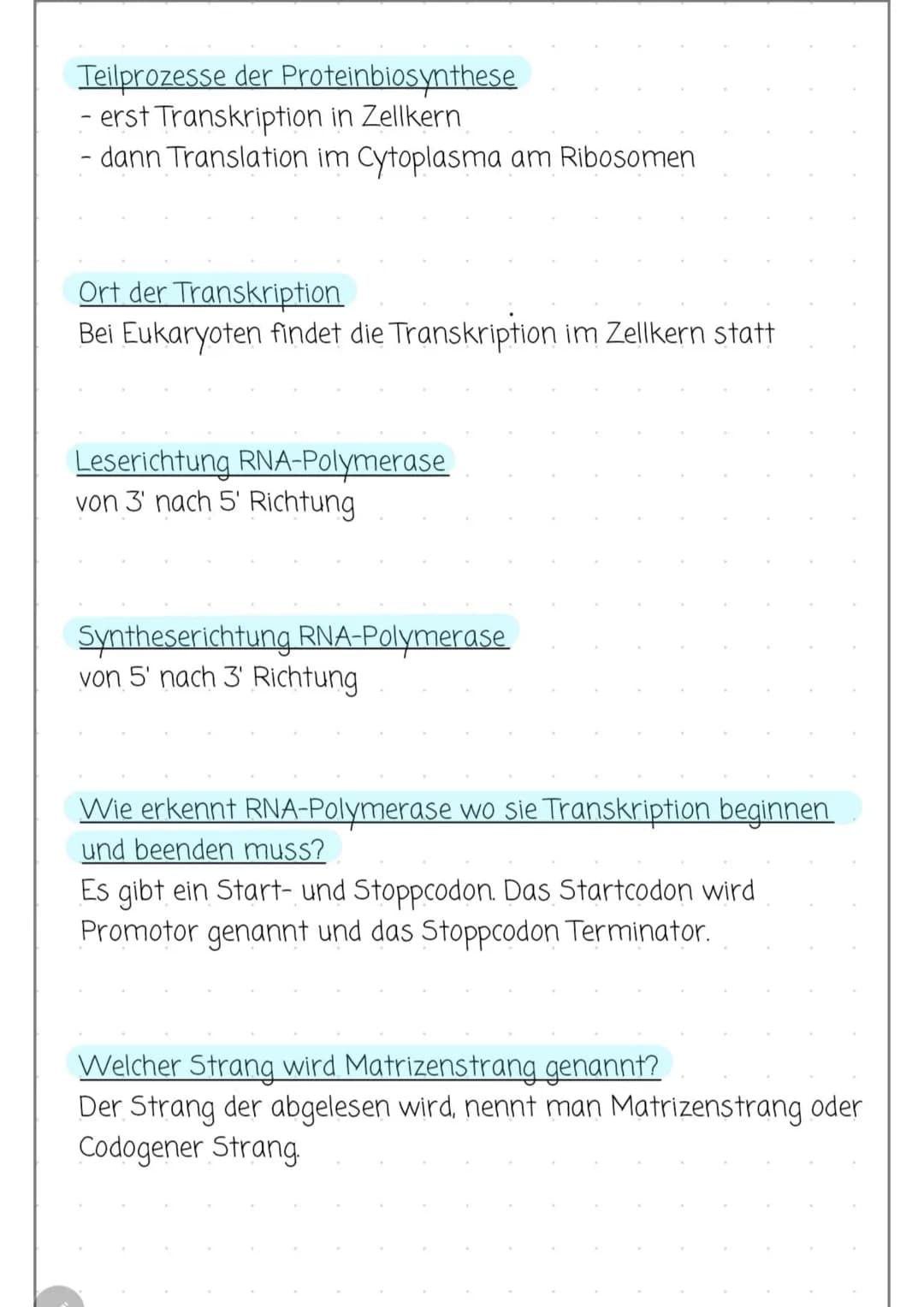 # TRANSKRIPTION BEI PROKARYOTEN
## 3 Schritte
### Initiation
- RNA-Polymerase bindet an DNA am Promotor: 5'- TATAAT-3'
- Diese Sequenz von
