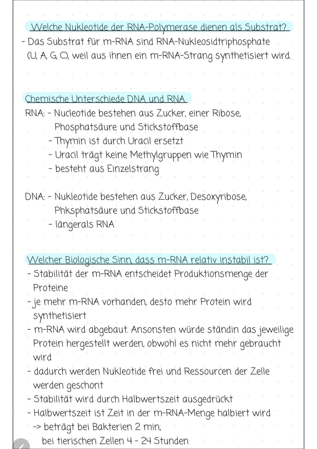 # TRANSKRIPTION BEI PROKARYOTEN
## 3 Schritte
### Initiation
- RNA-Polymerase bindet an DNA am Promotor: 5'- TATAAT-3'
- Diese Sequenz von
