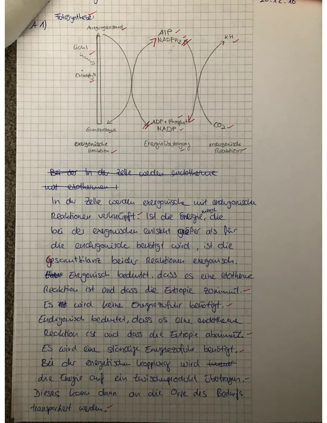 20.12.10
A1)
# Fotosynthese
Aregungszustand
ATP
NADPH
Cicht
Chlorophyll
DOC
Grundzustand
ADP+ Phosphat
NADP
exegonische
Reaktion
endugonisd