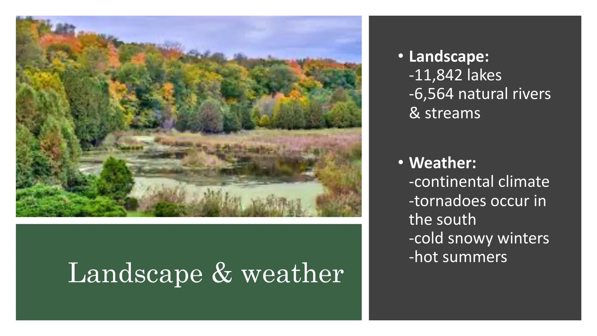 MN
Minnesota Structure
* General information
* 3 biggest cities
* State animals & local food
* Landmarks & sights
* Landscape & weather
* Ed