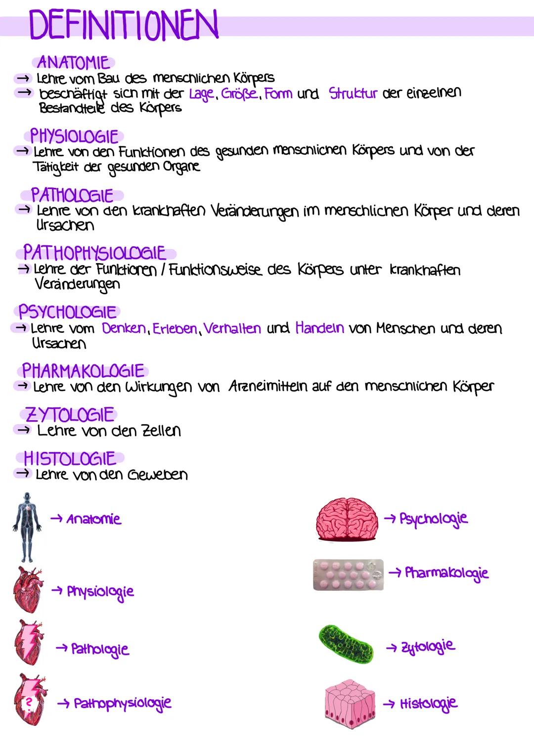 # DEFINITIONEN
ANATOMIE
- Lehre vom Bau des menschlichen Körpers
- beschäftigt sich mit der Lage, Größe, Form und Struktur der einzelnen
Be