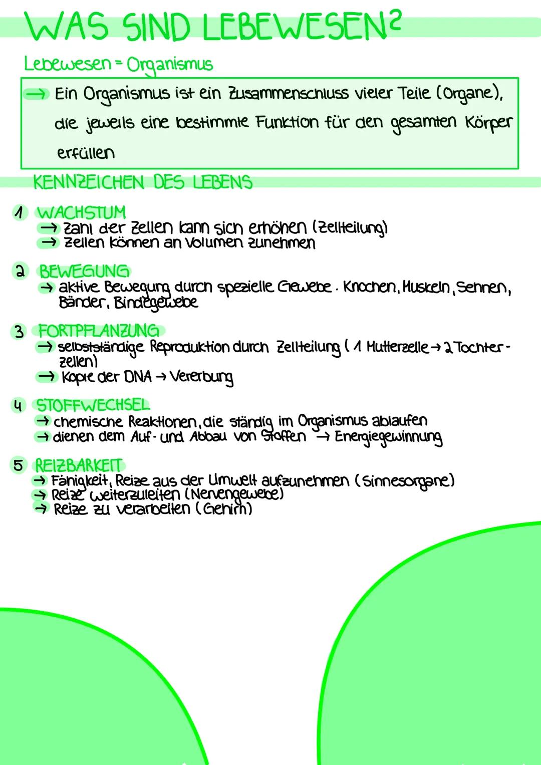 # DEFINITIONEN
ANATOMIE
- Lehre vom Bau des menschlichen Körpers
- beschäftigt sich mit der Lage, Größe, Form und Struktur der einzelnen
Be