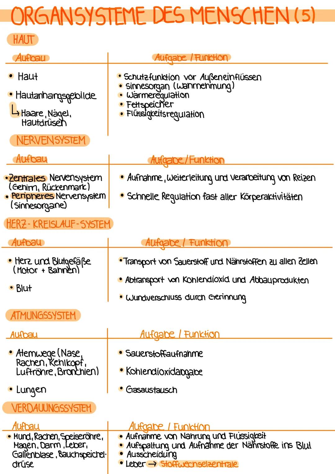 # DEFINITIONEN
ANATOMIE
- Lehre vom Bau des menschlichen Körpers
- beschäftigt sich mit der Lage, Größe, Form und Struktur der einzelnen
Be
