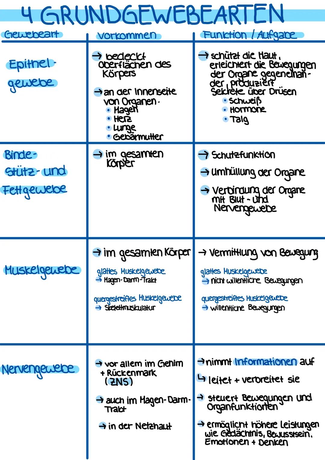 # DEFINITIONEN
ANATOMIE
- Lehre vom Bau des menschlichen Körpers
- beschäftigt sich mit der Lage, Größe, Form und Struktur der einzelnen
Be
