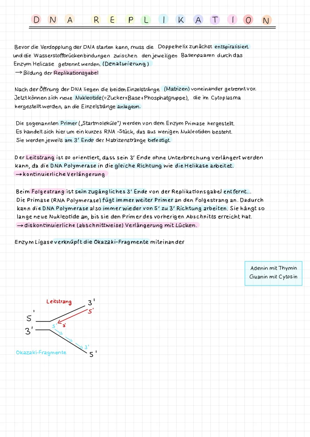 ## B.) Semikonservative Replikation der DNA:
### Verlauf der Reaktion
Bewegungsrichtung der Replikationsgabel
3'
5'
Kontinuierlicher Stran