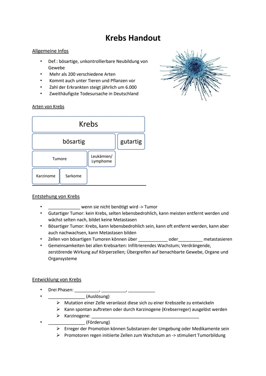 # Krebs Handout
## Allgemeine Infos
* Def.: bösartige, unkontrollierbare Neubildung von Gewebe
* Mehr als 200 verschiedene Arten
* K