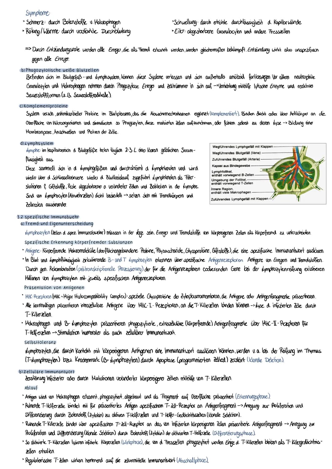 ## 4.3 Krebs
- Hyposensibilisierung: Injektion geringo, anskigender Allogendasen kam die Bildung von IgG-Anhkörpern durch B-Kymphozylen ausl