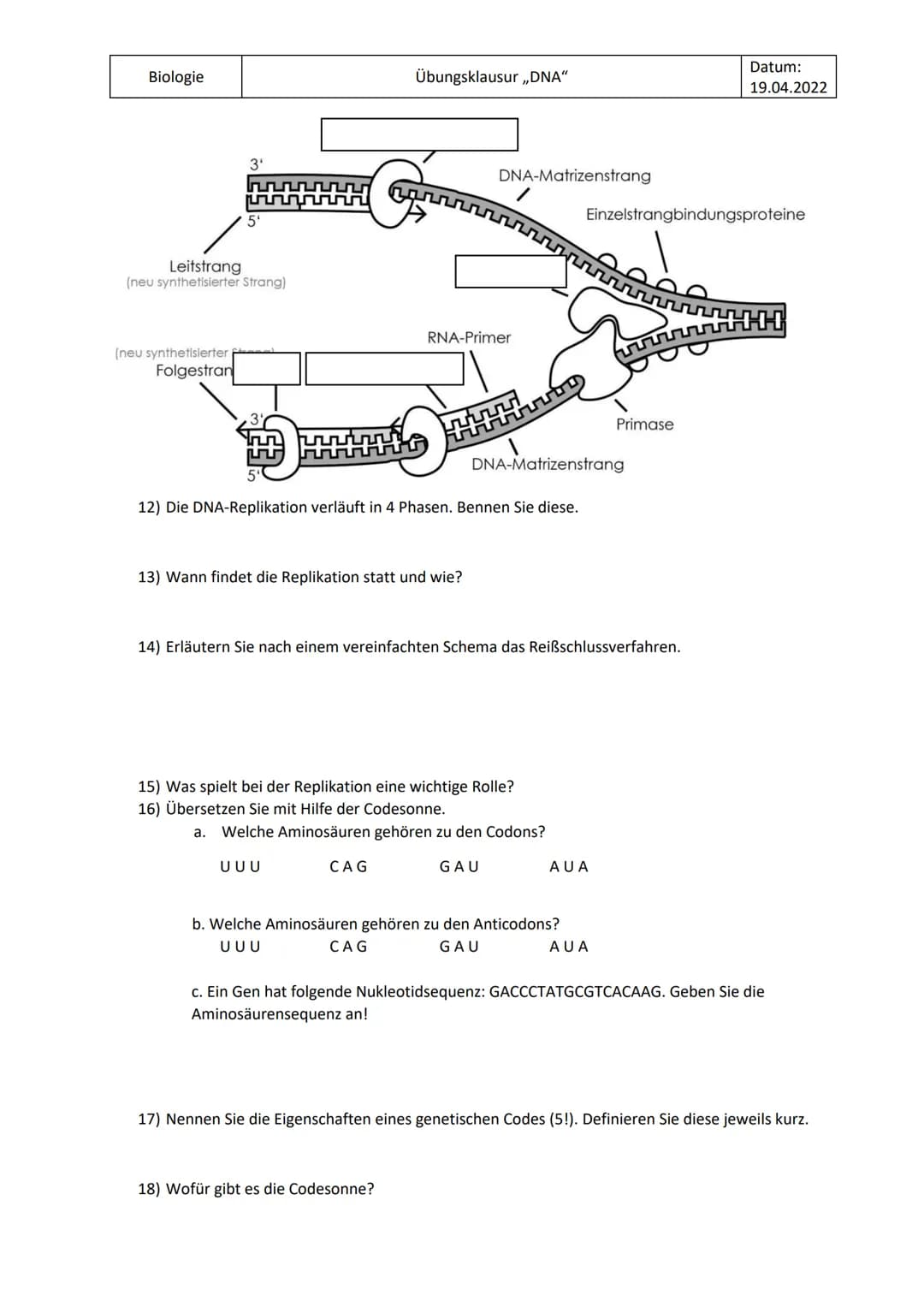 Biologie
Übungsklausur „DNA"
Datum:
19.04.2022
1) Zeichnen Sie die komplementären Basenpaare.
2) Beschriften Sie diese Abbildung der DNA
