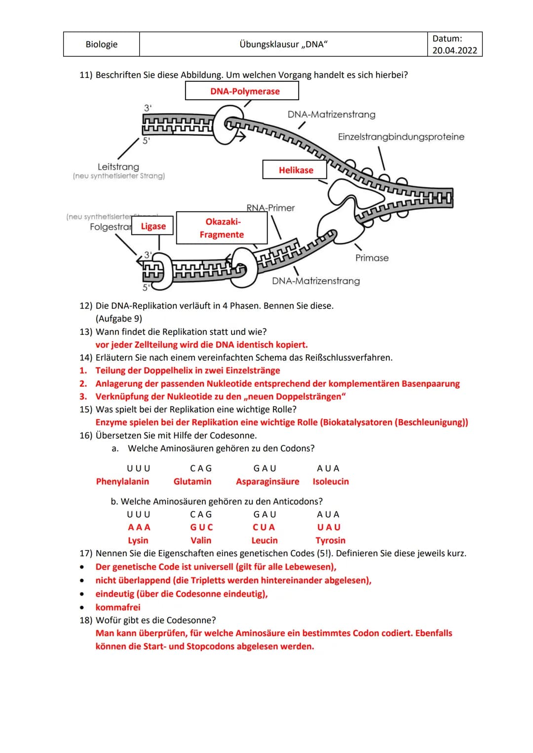 Biologie
Übungsklausur „DNA"
Datum:
19.04.2022
1) Zeichnen Sie die komplementären Basenpaare.
2) Beschriften Sie diese Abbildung der DNA