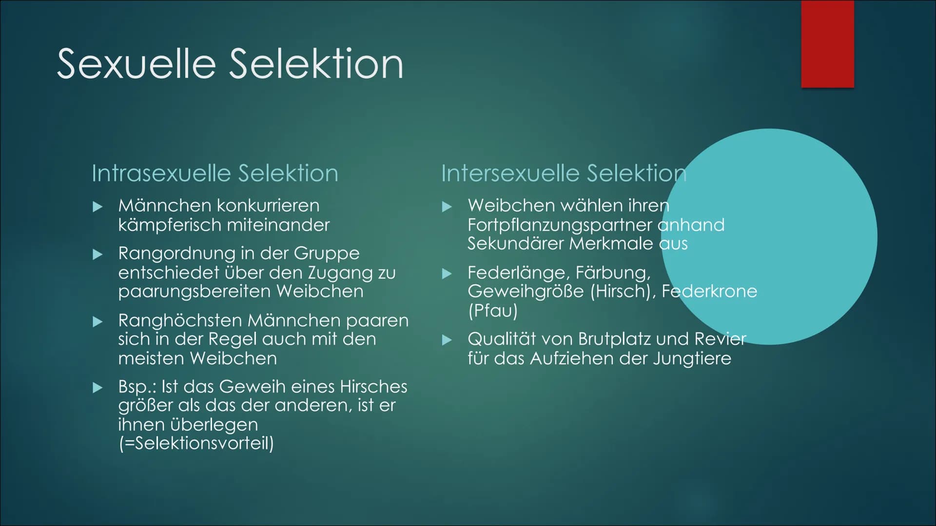 Referat über die
sexuelle Selektion,
Paarungssysteme und
die Habitatwahl von
Lebewesen # Aufbau:
- Sexuelle Selektion:
- Intra- und Inters
