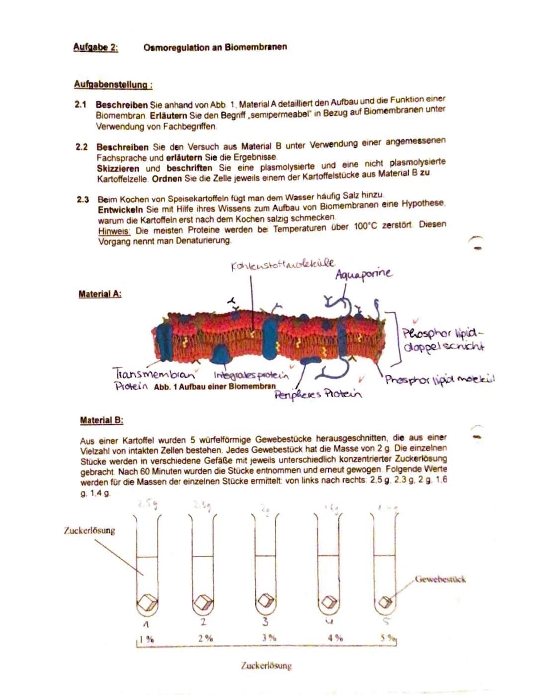 <h2>Aufgabe 1: Cytologie</h2>
<h3>Beschriftung der Zelle und Organellen</h3>
<p>Beschriften Sie die Ziffern 1-8 der Abbildung der Zelle (Ma
