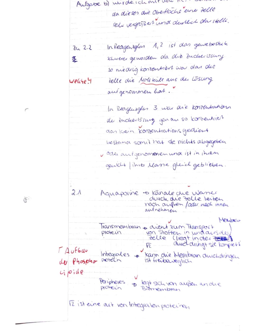 <h2>Aufgabe 1: Cytologie</h2>
<h3>Beschriftung der Zelle und Organellen</h3>
<p>Beschriften Sie die Ziffern 1-8 der Abbildung der Zelle (Ma