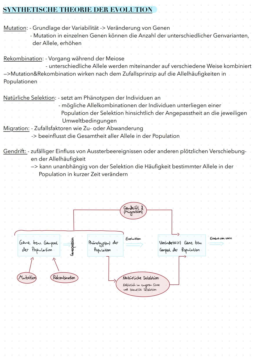 # Evolution
EVOLUTIONSTHEORIEN
Darwin
- hat Ideen von Wallace übernommen
- „Populationen und Arten sind veränderlich"
- Zweifel an der gö