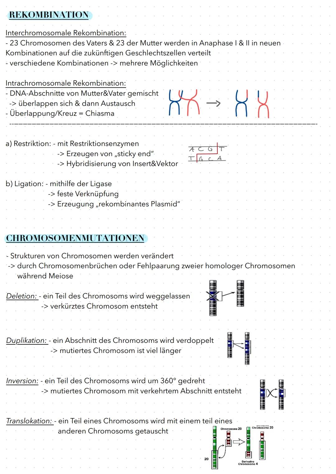 # Evolution
EVOLUTIONSTHEORIEN
Darwin
- hat Ideen von Wallace übernommen
- „Populationen und Arten sind veränderlich"
- Zweifel an der gö