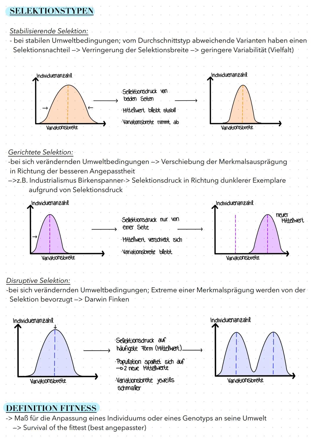 # Evolution
EVOLUTIONSTHEORIEN
Darwin
- hat Ideen von Wallace übernommen
- „Populationen und Arten sind veränderlich"
- Zweifel an der gö