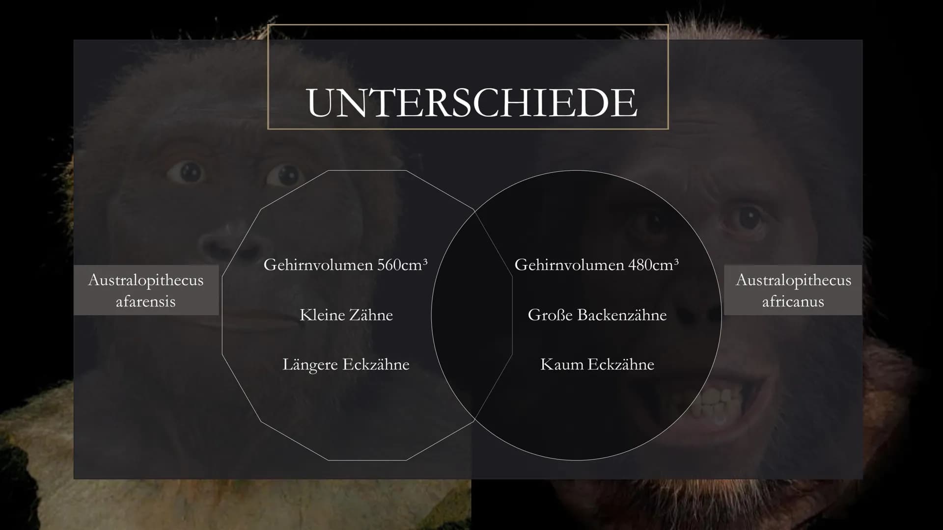 <h2>Die Entwicklung des Menschen in der Geschichte der Klasse 5</h2>
<p>Die menschliche Evolution ist ein faszinierendes Thema, das Kinder