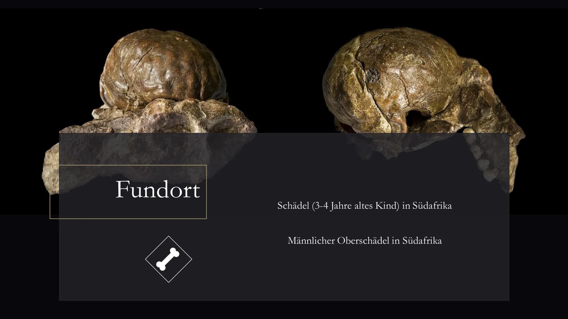 <h2>Die Entwicklung des Menschen in der Geschichte der Klasse 5</h2>
<p>Die menschliche Evolution ist ein faszinierendes Thema, das Kinder