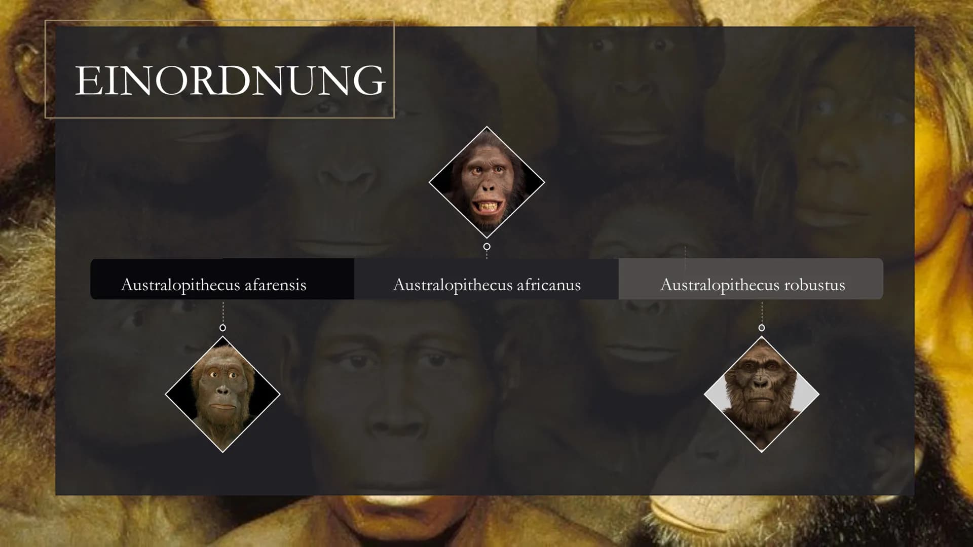 <h2>Die Entwicklung des Menschen in der Geschichte der Klasse 5</h2>
<p>Die menschliche Evolution ist ein faszinierendes Thema, das Kinder