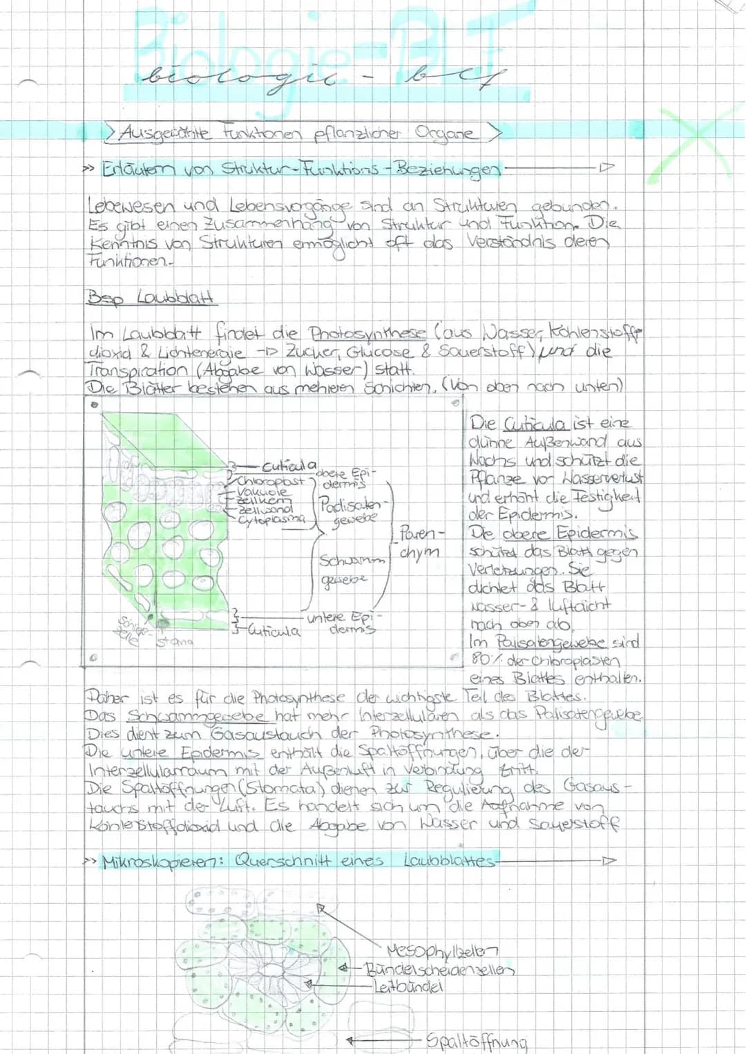 # Schwerpunkte für die BLF - Biologie 20
Die Aufgaben beziehen sich auf die im Thüringer Lehrplan für den Erwerb der Allgemeinen Hochschulre