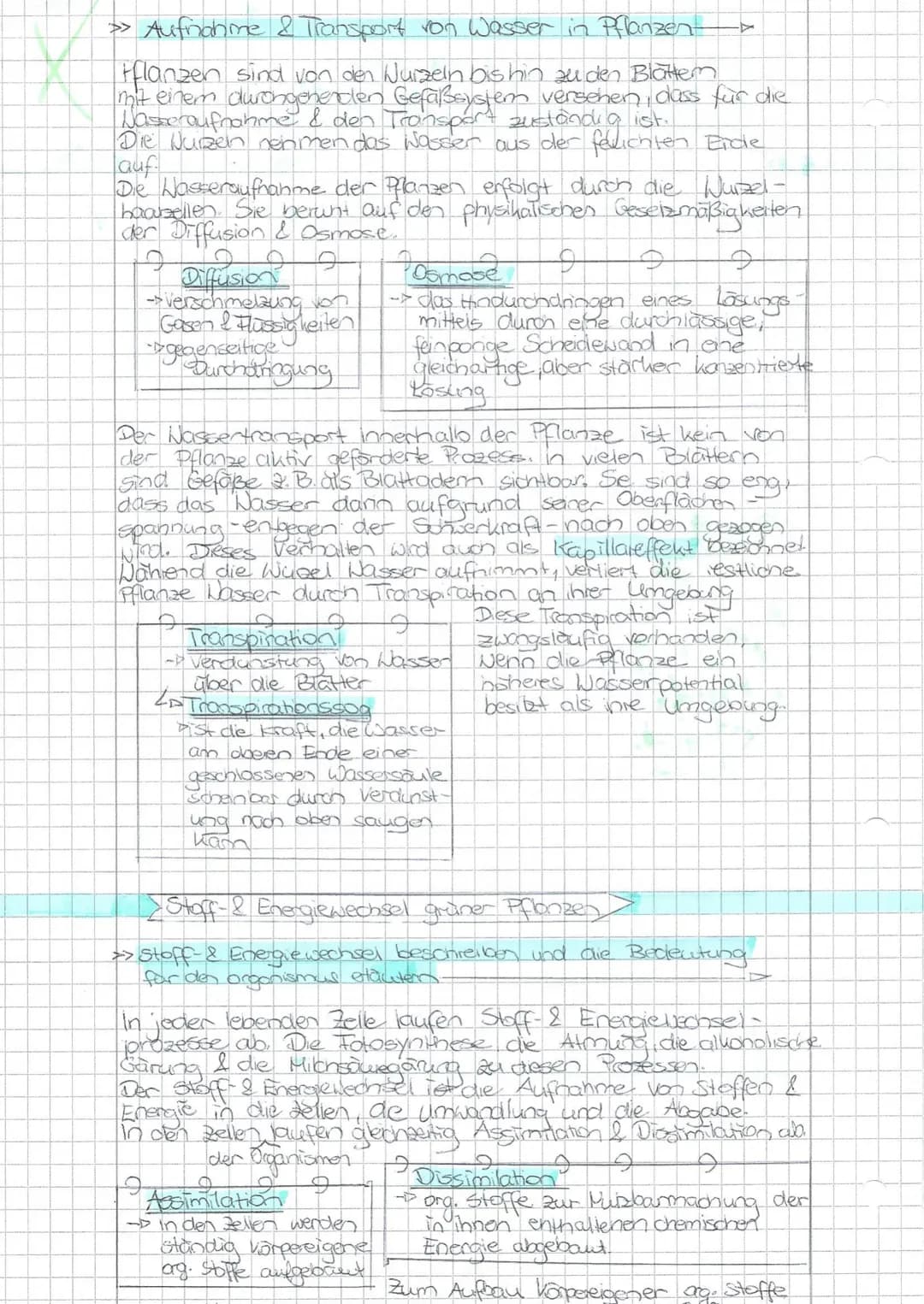 # Schwerpunkte für die BLF - Biologie 20
Die Aufgaben beziehen sich auf die im Thüringer Lehrplan für den Erwerb der Allgemeinen Hochschulre