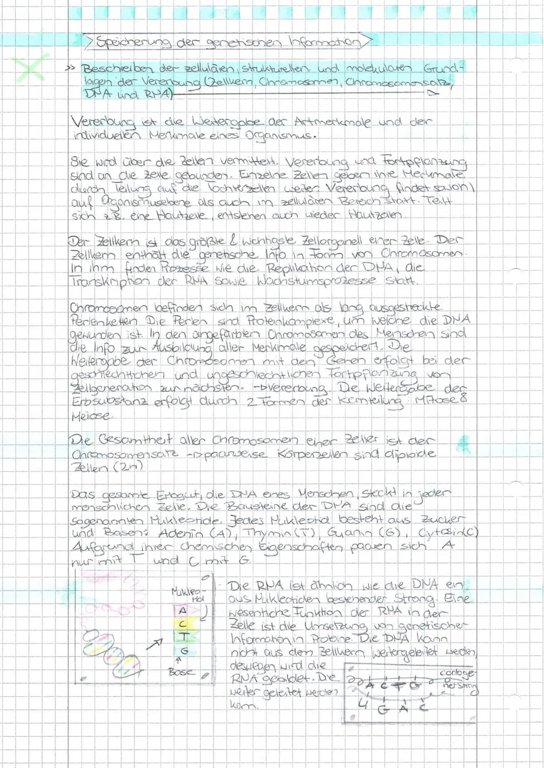 # Schwerpunkte für die BLF - Biologie 20
Die Aufgaben beziehen sich auf die im Thüringer Lehrplan für den Erwerb der Allgemeinen Hochschulre