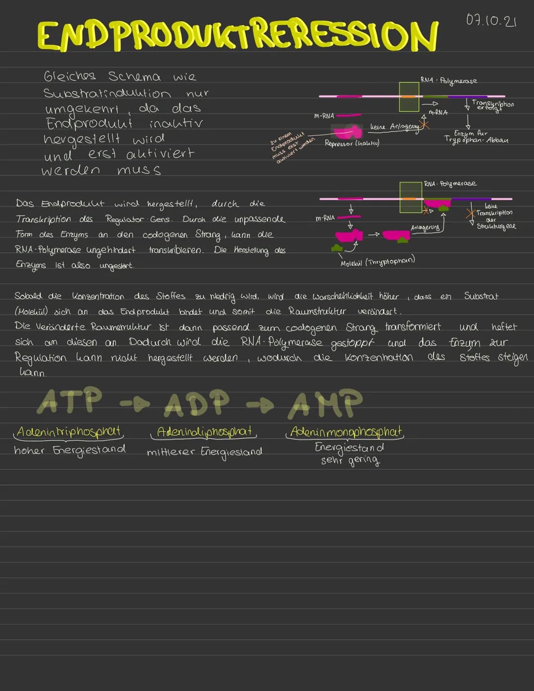 # SUBSTRAT INDUKTION
Genregulation bei Prokaryoten
06.10.21
- unter bestimmten Bedingungen erforderlich oder immer
regulierte Gene
kons