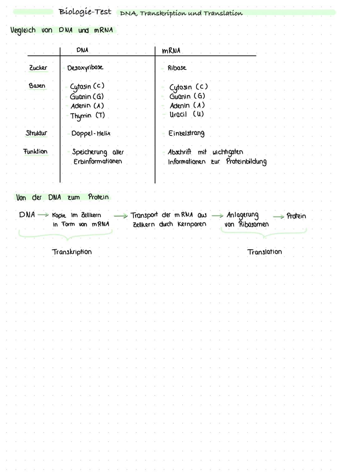 <p>Die DNA (Desoxyribonucleinacid) ist eine fädige Struktur, welche die Erbinformationen eines Lebewesens enthält. Sie besteht aus aneinand