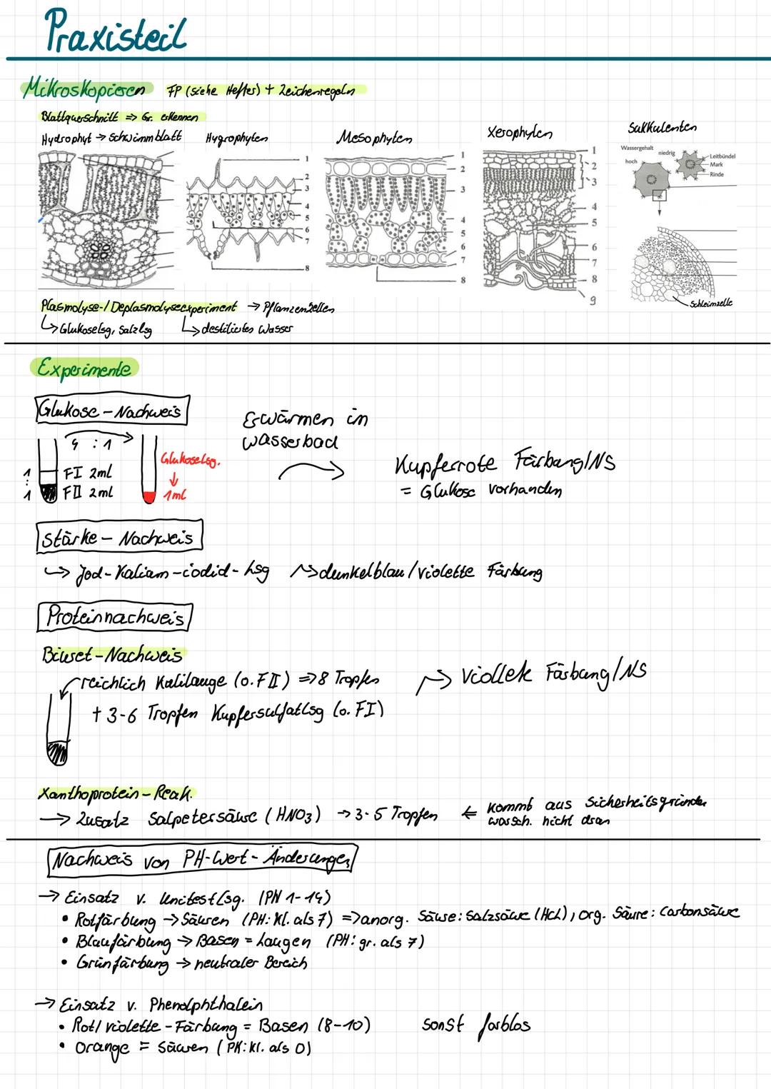 # Praxisteil
Mikroskopieren FP (siehe Heftes) + Zeichenregaln
Blattquerschnitt > Gr. okennen
Hydrophyt Schwimmblatt Hygrophyten
Meso phy
