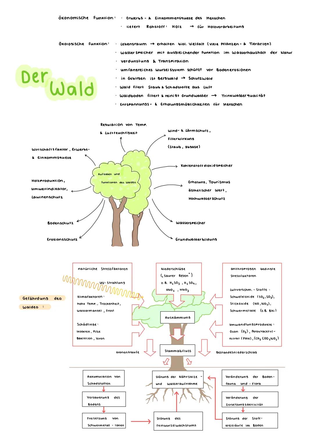 # Ökologie
· ist die Wissenschaft von den Beziehunsen des Orsanismus zur umsebenden
Außenwelt (E. Häckel, 1866)
· ursprünglich in 3 Teilbe