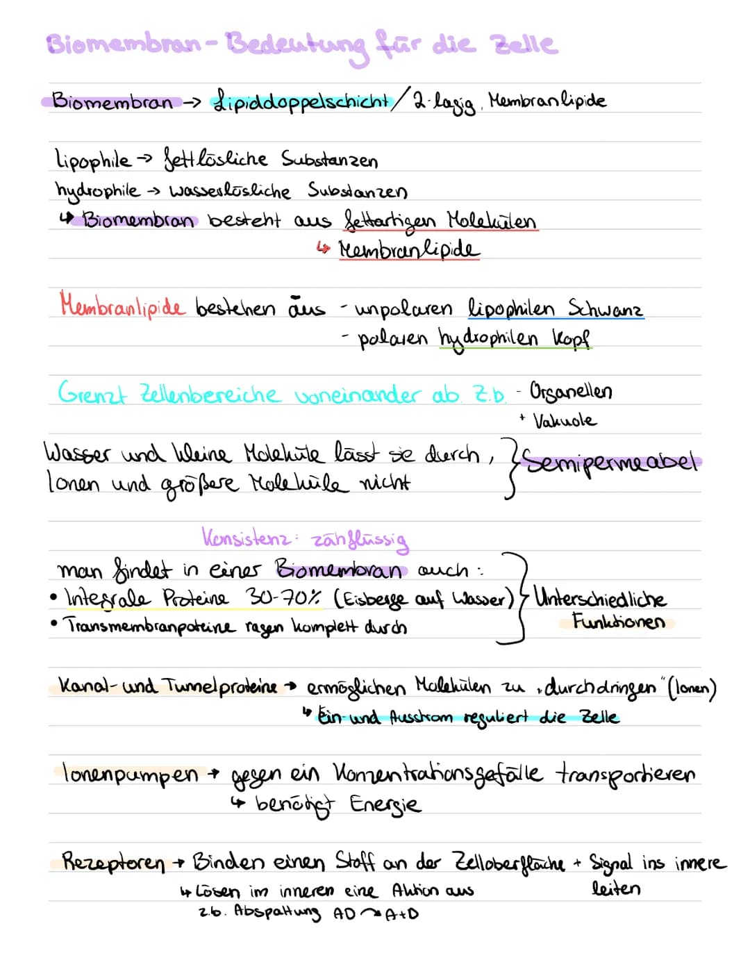 # Einfluss von Enzymen auf den Reaktionsverlauf
- Stabiliesierung des Übergangszustandes
- dadurch: Senkung der Aktivierungsenergie
## R