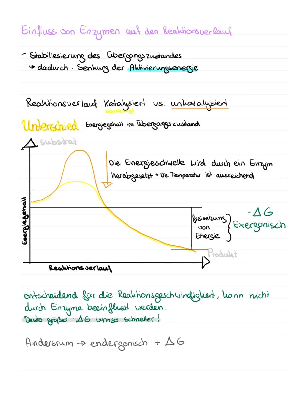 # Einfluss von Enzymen auf den Reaktionsverlauf
- Stabiliesierung des Übergangszustandes
- dadurch: Senkung der Aktivierungsenergie
## R