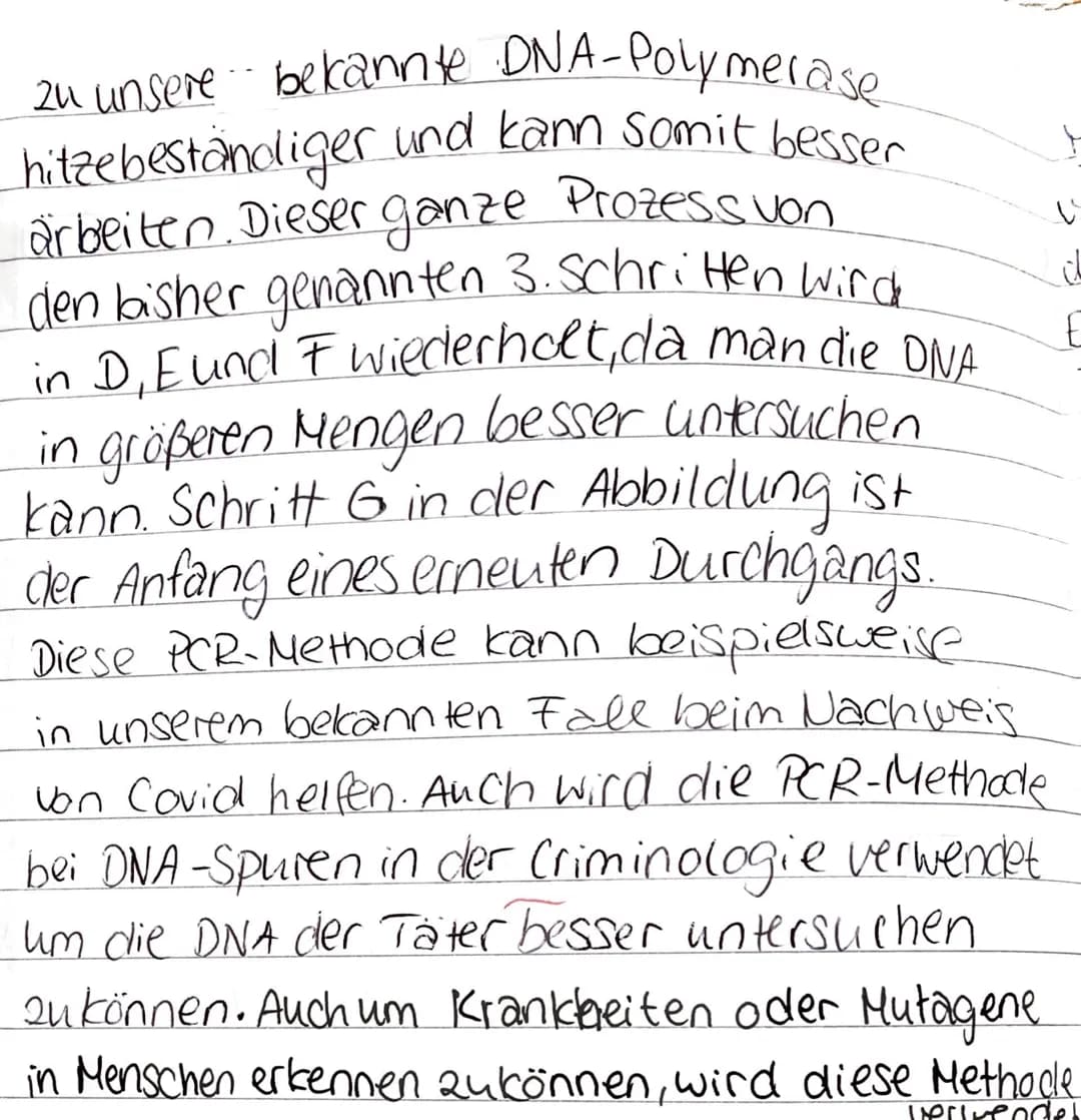 Grundkurs BIOLOGIE , 11.1 Klausur (2) 02.12.2022
Name:
Themen: Molekulare Genetik
Allgemeine Hinweise zur Klausur: Lassen Sie eine viertel S