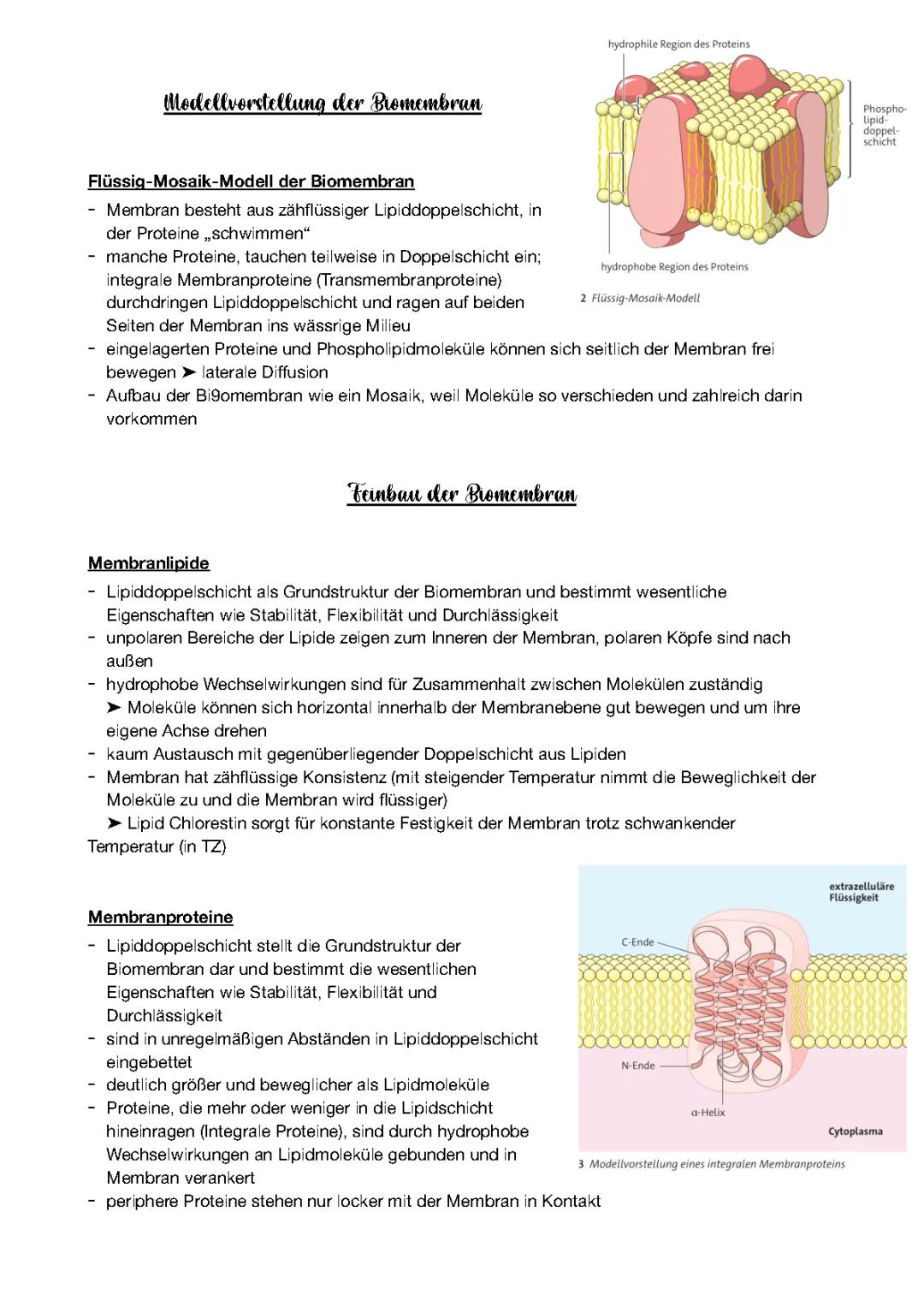 Biomembran