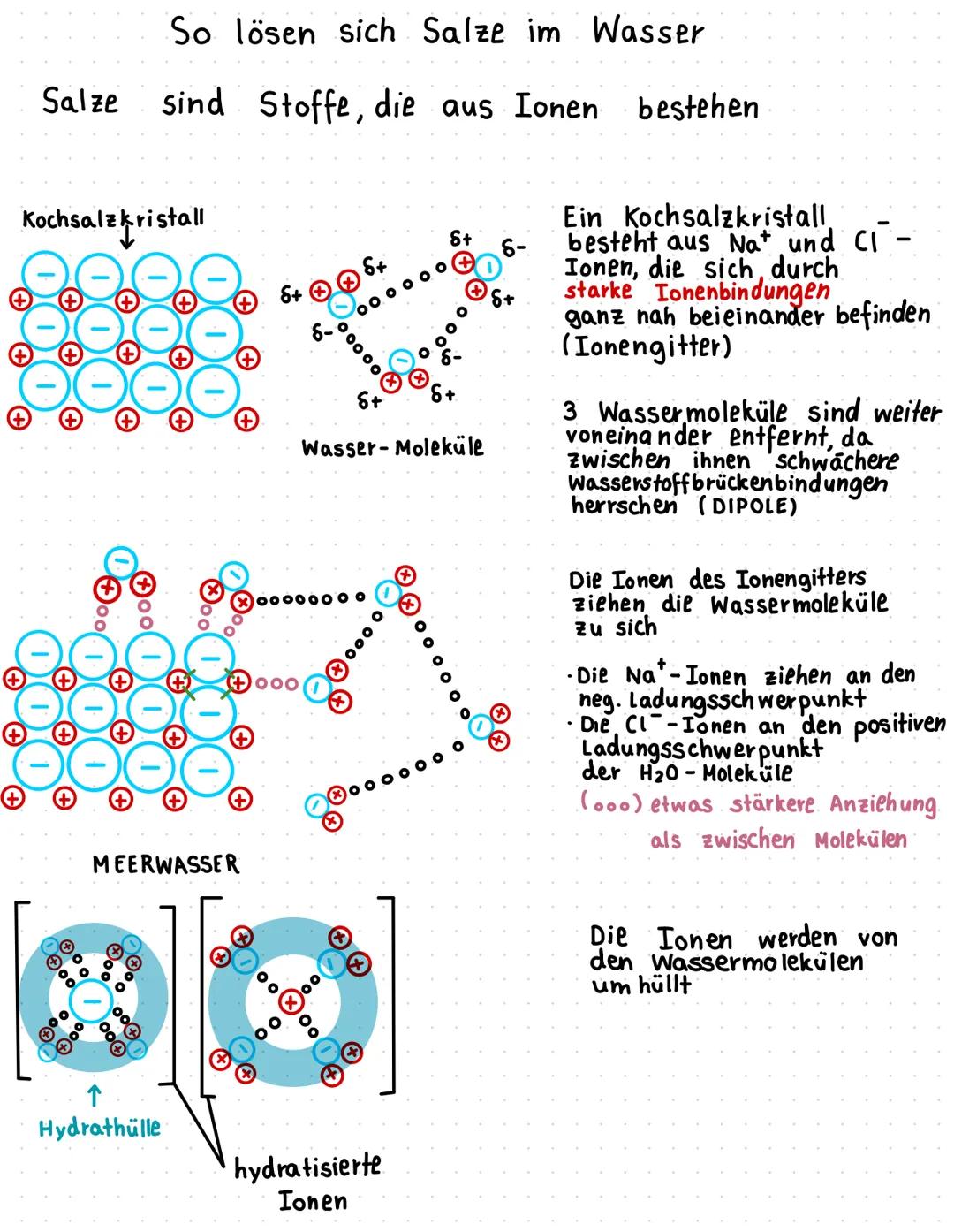 So lösen sich Salze im Wasser
Salze sind Stoffe, die aus Ionen bestehen
Kochsalzkristall
+
+
+
✪oo
+
Hydrathülle
+
+
MEERWASSER
S+
..⁰⁰
000