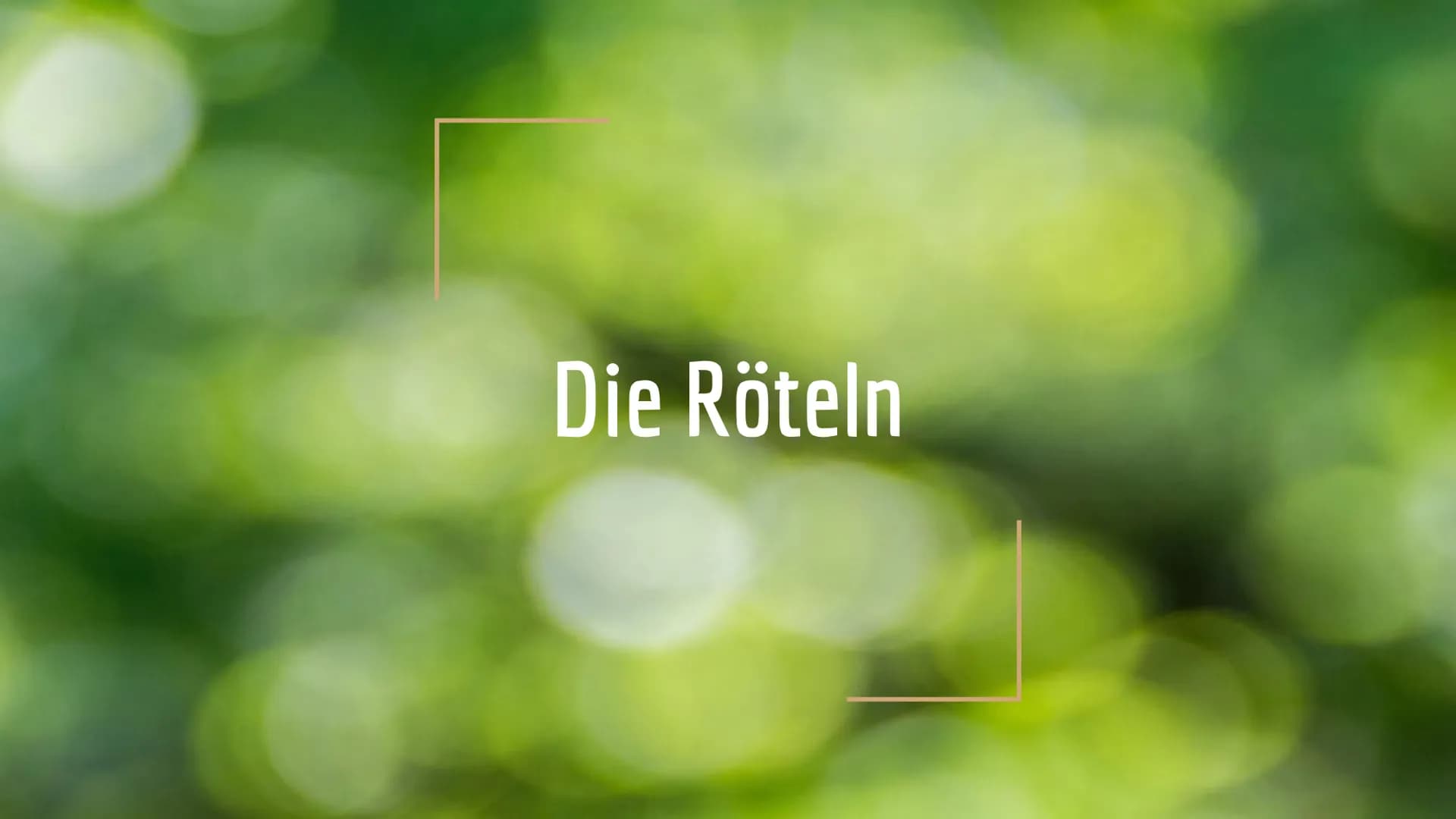 <p>Quynh Anh, Ngo</p>
<h2>Allgemeine Informationen</h2>
<p>Die Röteln sind eine hochansteckende Krankheit, die durch Rötelviren ausgelöst w