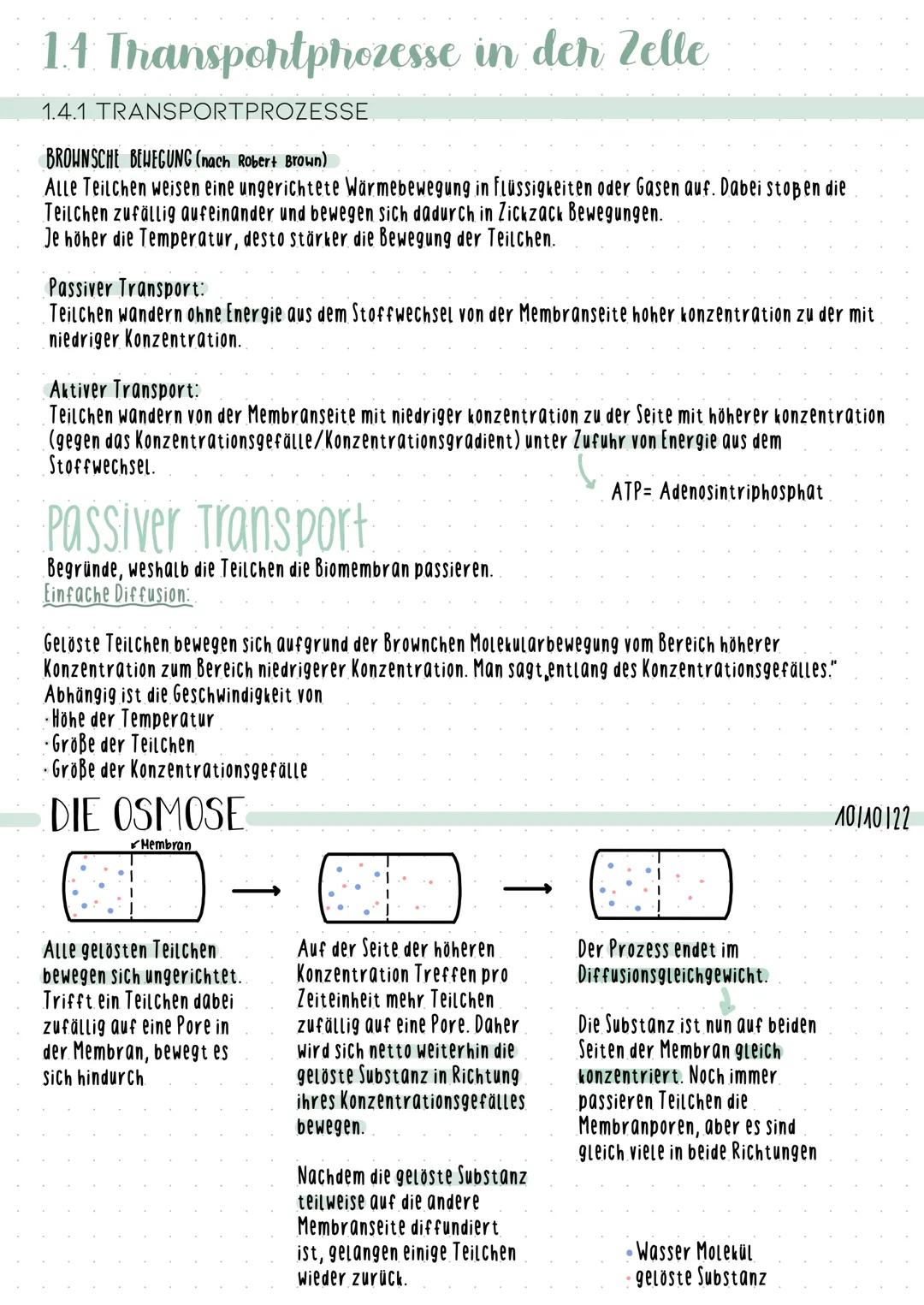 # 1.4. Transportprozesse in deh Zelle
1.4.1 TRANSPORTPROZESSE
BROWNSCHE BEWEGUNG (nach Robert Brown)
Alle Teilchen weisen eine ungerichtet