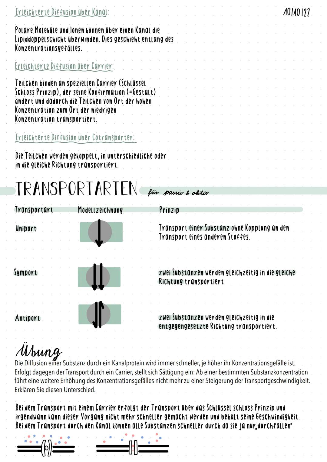 # 1.4. Transportprozesse in deh Zelle
1.4.1 TRANSPORTPROZESSE
BROWNSCHE BEWEGUNG (nach Robert Brown)
Alle Teilchen weisen eine ungerichtet