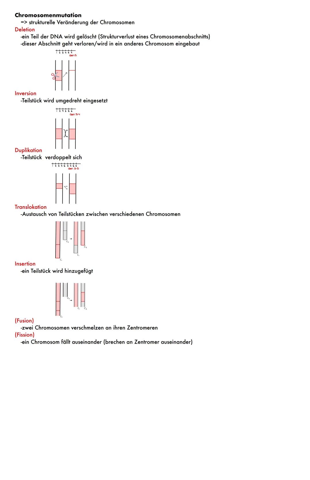 Mutationen
Veränderung des Erbguts (Leseraster der DNA wird verändert)
1. Keimbahnmutation
- erblich
- in Keimzellen (Spermien und Eizellen)