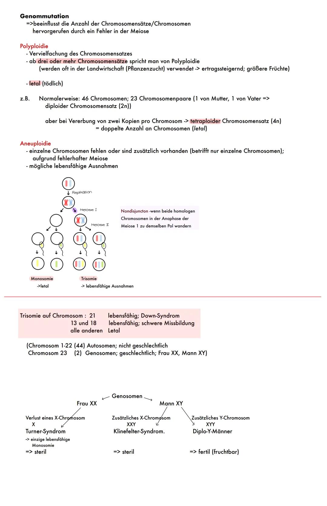 Mutationen
Veränderung des Erbguts (Leseraster der DNA wird verändert)
1. Keimbahnmutation
- erblich
- in Keimzellen (Spermien und Eizellen)