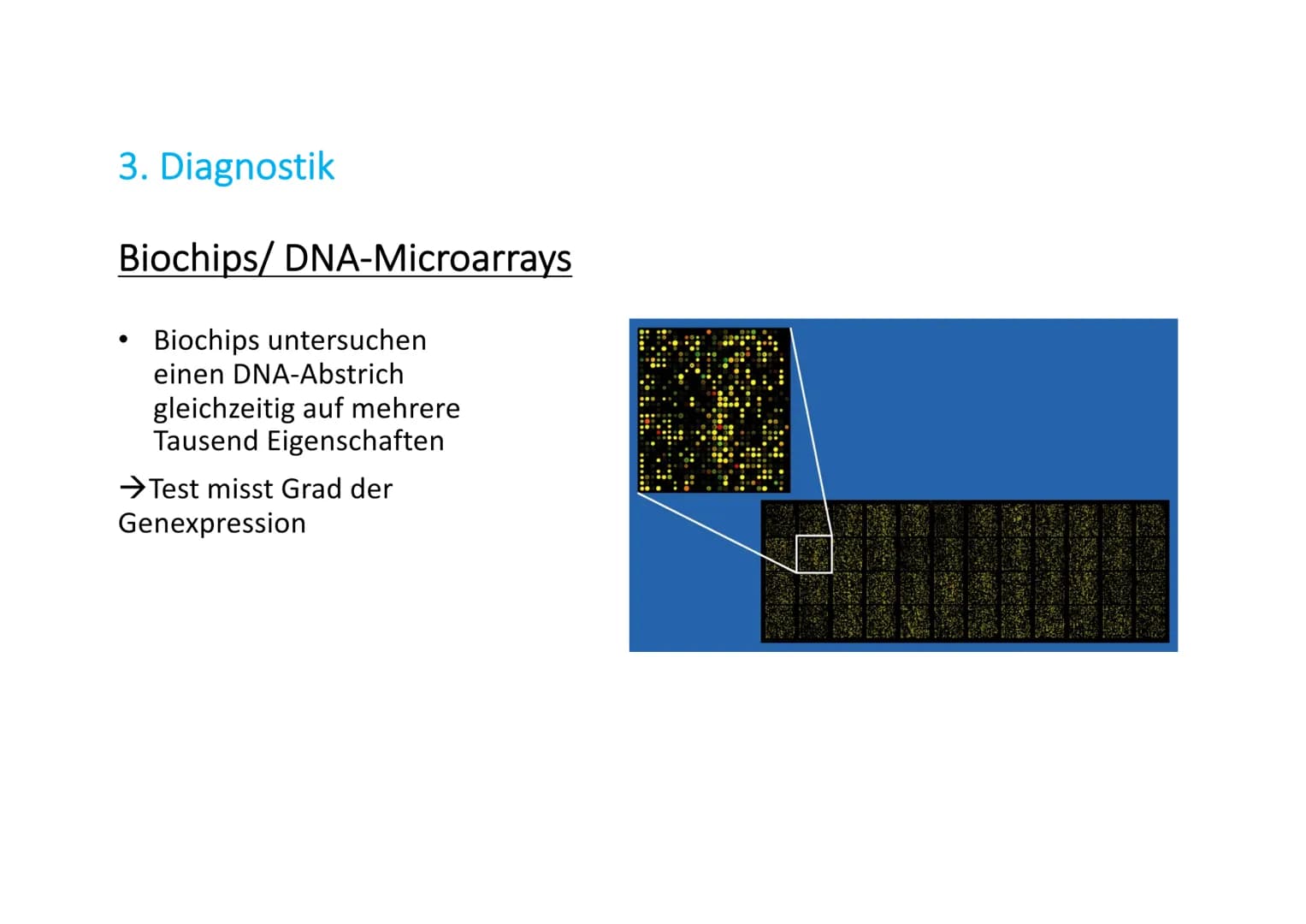 Gentechnik in der Medizin
Name # Allgemeines
* Jährlich sterben Millionen Menschen an Krankheiten, die bis heute unheilbar sind (Parkinson,
