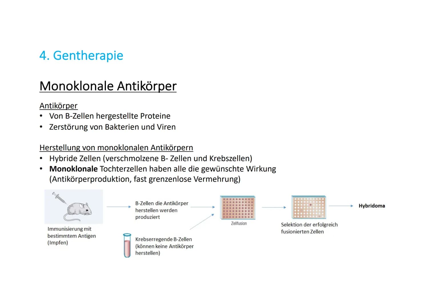 Gentechnik in der Medizin
Name # Allgemeines
* Jährlich sterben Millionen Menschen an Krankheiten, die bis heute unheilbar sind (Parkinson,