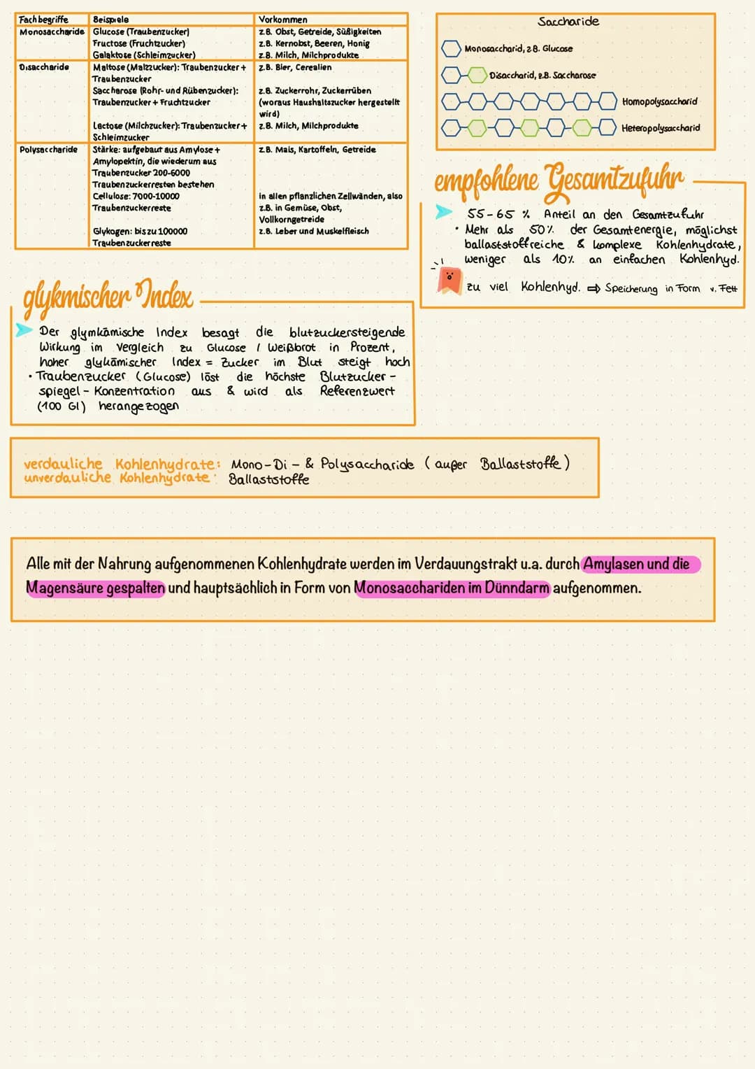 # Kohlenhydrate
## Funktionen
* Energiequelle: Gehirn & rote Blutkörperchen (Erythrozyten) decken ihren Energiebedarf ausschließlich aus Glu