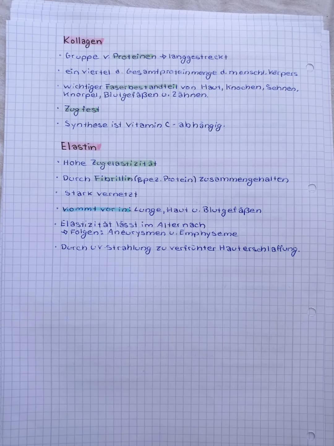 # Binde-und Stützgewebe
## Zusammensetzung des Bindegewebes
- Differenzieren sich je nach Aufgabe unterschiedlich
- Synthetisieren unterschi