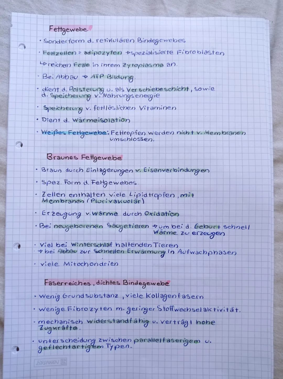 # Binde-und Stützgewebe
## Zusammensetzung des Bindegewebes
- Differenzieren sich je nach Aufgabe unterschiedlich
- Synthetisieren unterschi