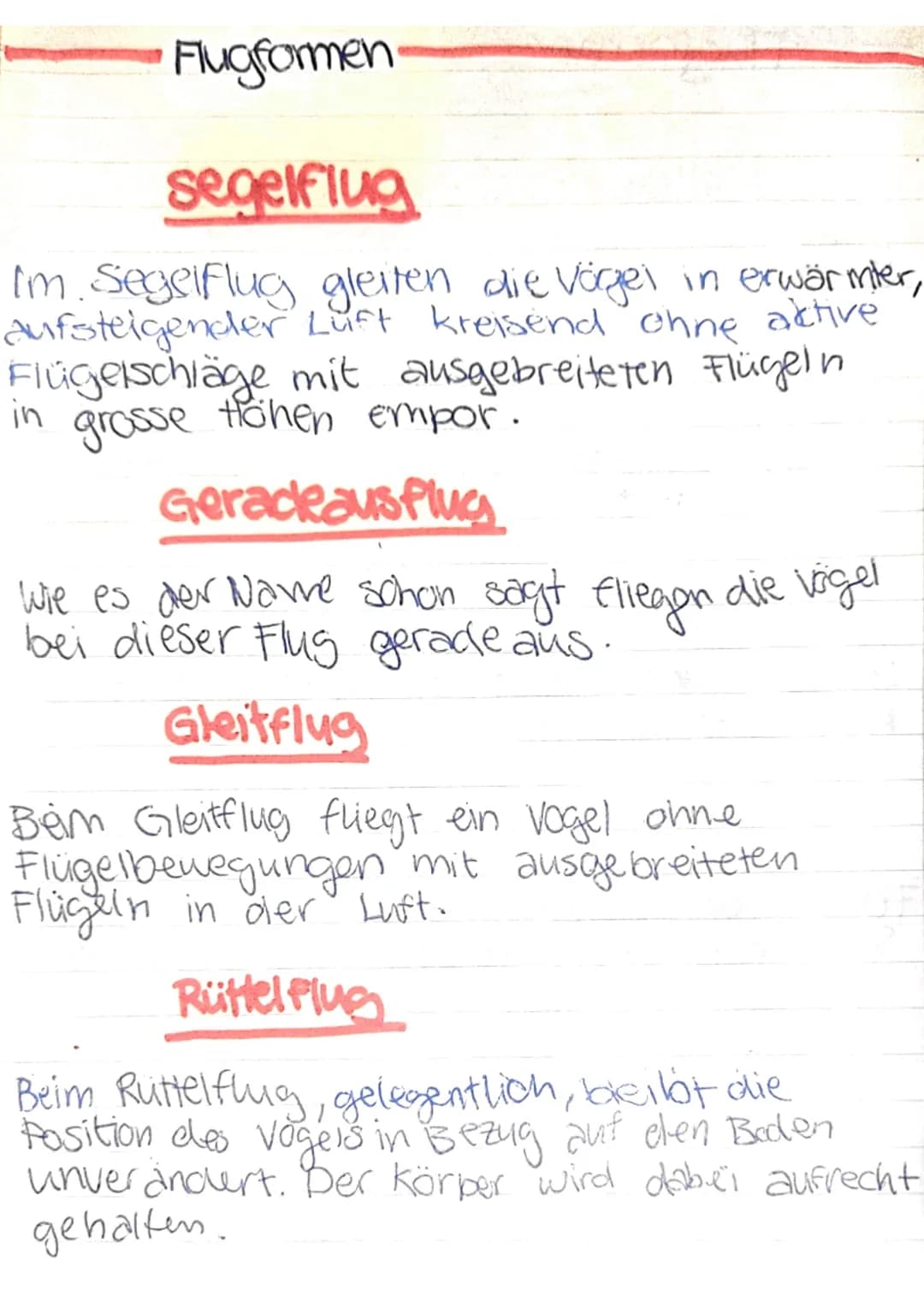 # Flugformen
## segelflug
Im Segelflug gleiten die Vögel in erwärmter, aufsteigender Luft kreisend ohne aktive Flügelschläge mit ausgebrei