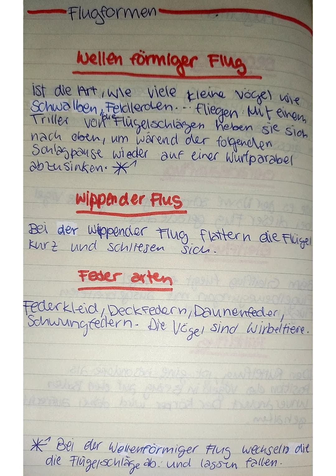 # Flugformen
## segelflug
Im Segelflug gleiten die Vögel in erwärmter, aufsteigender Luft kreisend ohne aktive Flügelschläge mit ausgebrei