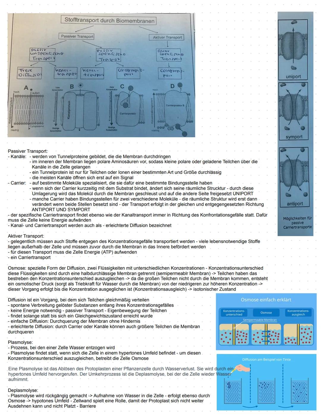 Substratspezifität: Jedes Enzym katalysiert nur eine ganz bestimmte Reaktion. Es kann nur Substrate zu Produkte umwandeln die an sie angepa